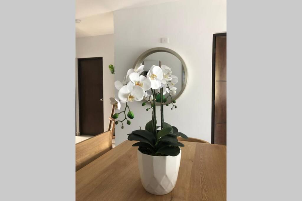 Modern Decor Apartment Near Ocean Mazatlán Εξωτερικό φωτογραφία